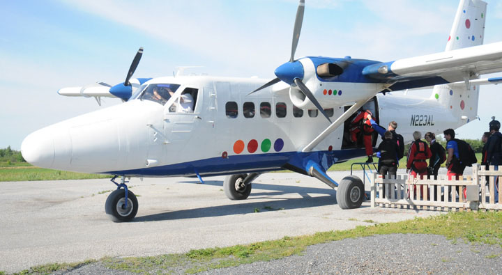 TBeech 18